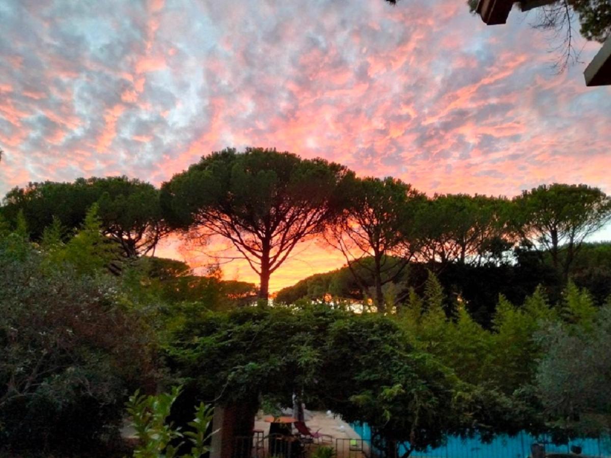 Bed and Breakfast La Bastide Des Pins Castillon-du-Gard Exterior foto