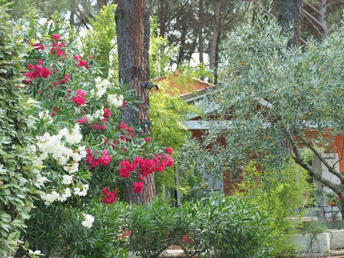 Bed and Breakfast La Bastide Des Pins Castillon-du-Gard Exterior foto