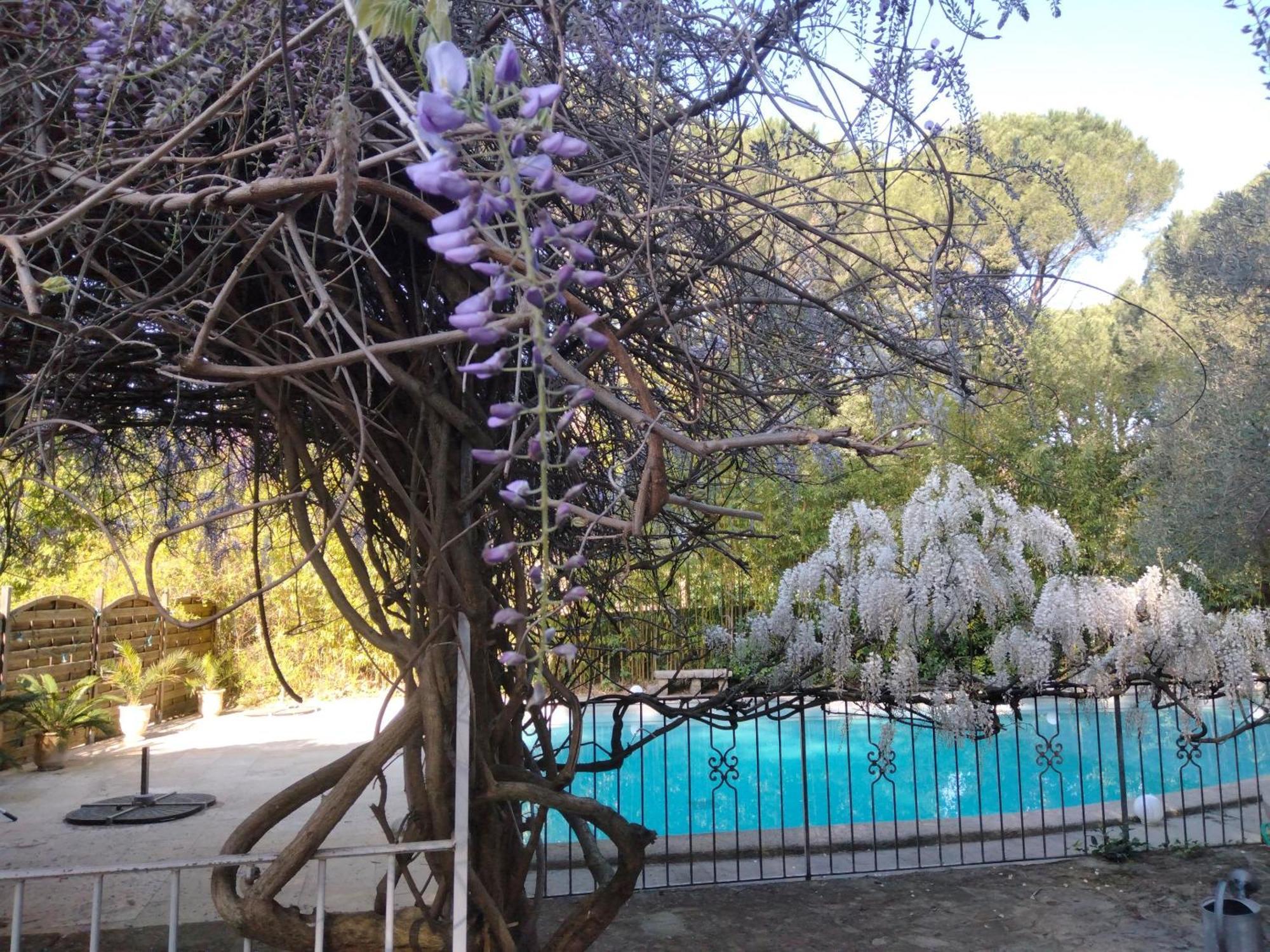 Bed and Breakfast La Bastide Des Pins Castillon-du-Gard Exterior foto